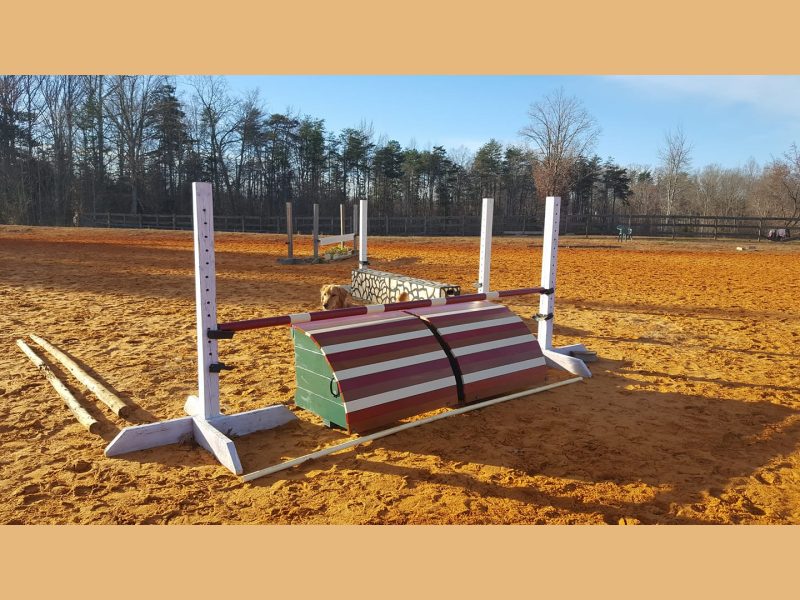 Jump features such as roll tops and boxes kept freshly painted.