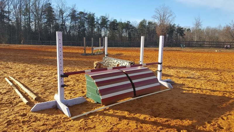 Jump features such as roll tops and boxes kept freshly painted.
